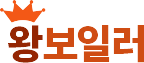 다린이엔지(왕보일러)